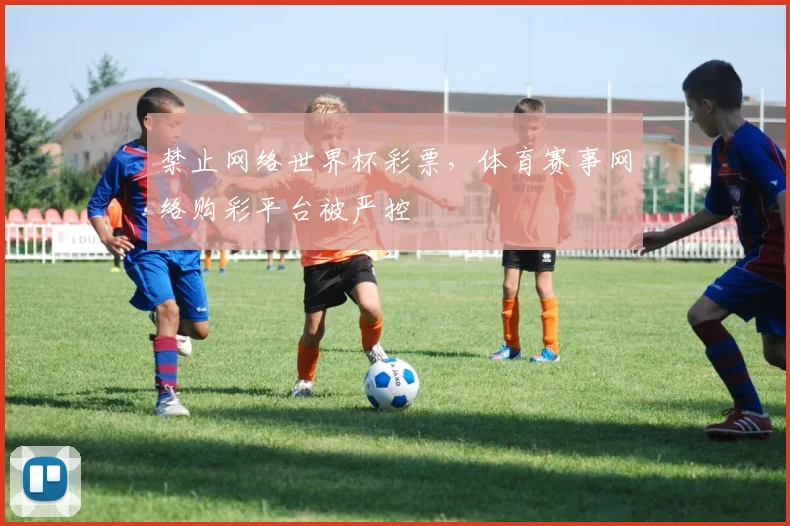 禁止网络世界杯彩票，体育赛事网络购彩平台被严控